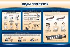 Стенд "Виды перевязок" - fgospostavki.ru - Владимир