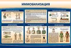 Стенд "Иммобилизация" - fgospostavki.ru - Владимир