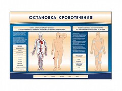 Электрифицированный стенд-тренажер "Остановка кровотечения" - fgospostavki.ru - Владимир