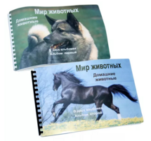 Пособие для слабовидящих - Домашние животные - fgospostavki.ru - Владимир