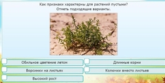 Интерактивные курсы. Окружающий мир 3 класс . Базовый. - fgospostavki.ru - Владимир