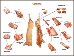 Таблица "Правила разделки мясных туш. Свинина" (100х140 сантиметров. винил) - fgospostavki.ru - Владимир
