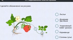 Интерактивные курсы. Биология 7 класс. Расширенный. - fgospostavki.ru - Владимир