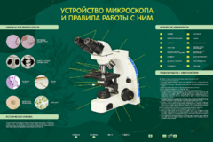 Электрифицированный стенд "Устройство микроскопа и правила работы c ним" - fgospostavki.ru - Владимир