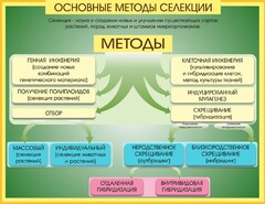 Стенд "Методы селекции и биотехнологии" - fgospostavki.ru - Владимир