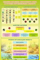 Стенд "Классификация животного мира" - fgospostavki.ru - Владимир