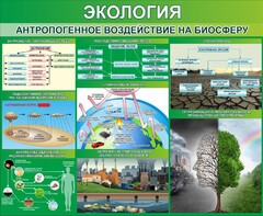 Стенд "Экология. Антропогенное воздействие на биосферу" - fgospostavki.ru - Владимир
