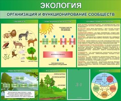 Стенд "Экология. Организация и функционирование сообществ" - fgospostavki.ru - Владимир