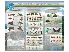Стенд "Как выжить в суровых условиях" - fgospostavki.ru - Владимир