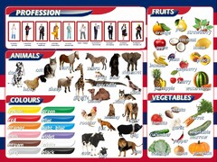 Стенд "Цвета, животные, профессии, фрукты, овощи" - fgospostavki.ru - Владимир