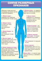 Стенд "Снятие мерок" Вариант 2 - fgospostavki.ru - Владимир