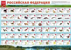 Стенд "Красная книга РФ" - fgospostavki.ru - Владимир