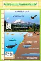 Стенд "Строение биосферы" - fgospostavki.ru - Владимир