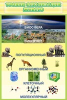 Стенд "Уровни организации живого" - fgospostavki.ru - Владимир