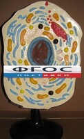 Модель "Клетка животного" - fgospostavki.ru - Владимир