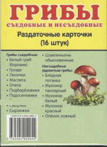 Раздаточные карточки "Грибы съедобные и не съедобные" - fgospostavki.ru - Владимир