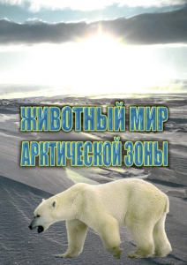 DVD "Животный мир Арктической зоны" - fgospostavki.ru - Владимир