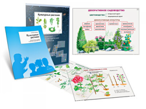Комплект кодотранспарантов "Культурные растения" - fgospostavki.ru - Владимир