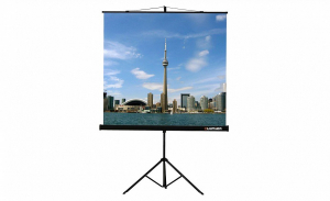Проекционный экран на штативе Lumien Eco View (LEV-100105) 160x160 см - fgospostavki.ru - Владимир