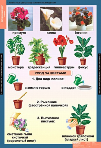 Комплект таблиц. Окружающий мир 1 класс. - fgospostavki.ru - Владимир