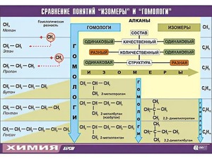 Таблица демонстрационная "Сравнение понятий изомер и гомолог" (винил 70x100) - fgospostavki.ru - Владимир