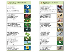 Комплект карточек (10) "Обучающий калейдоскоп. Природа" - fgospostavki.ru - Владимир