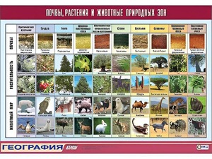 Таблица демонстрационная "Почвы, растения и животные природных зон" (винил 100*140) - fgospostavki.ru - Владимир