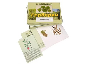 Гербарий "Для начальной школы" (30 видов, с иллюстрациями) - fgospostavki.ru - Владимир
