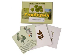 Гербарий "Деревья и кустарники" (22 вида, с иллюстрациями) - fgospostavki.ru - Владимир