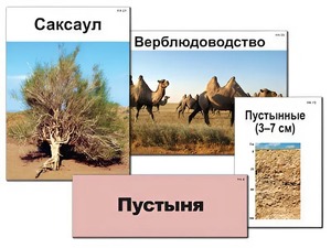 Модель-аппликация "Природные зоны России" (ламинированная) - fgospostavki.ru - Владимир