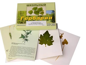 Гербарий "Систематика растений. Высшие споровые и семенные" (раздаточный) - fgospostavki.ru - Владимир