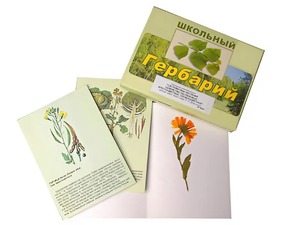 Гербарий "Систематика растений. Семейство Пасленовые. Крестоцветные. Сложноцветные" (раздаточный) - fgospostavki.ru - Владимир