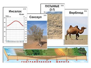 Модель-аппликация "Природные зоны" - fgospostavki.ru - Владимир