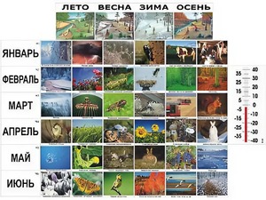 Фенологические наблюдения - fgospostavki.ru - Владимир