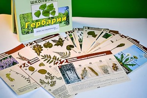 Гербарий к курсу основ общей биологии - fgospostavki.ru - Владимир