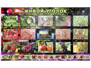 Комплект оборудования "Живой уголок" (растения) с тифлопереводом и сурдокомментариями - fgospostavki.ru - Владимир