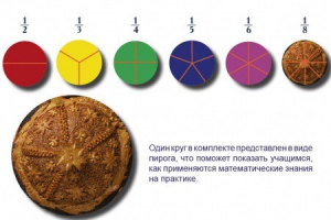 Учебно-игровой комплекс на магнитах "Доли круга" - fgospostavki.ru - Владимир