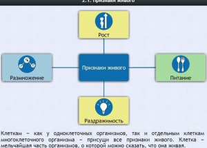 Интерактивные курсы. Биология 5 класс. Базовый - fgospostavki.ru - Владимир