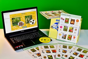 Коллекция натурально-интерактивная "Семена и плоды" - fgospostavki.ru - Владимир