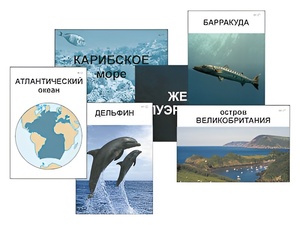 Модель-аппликация "Океаны. Знакомство" (ламинированная) - fgospostavki.ru - Владимир