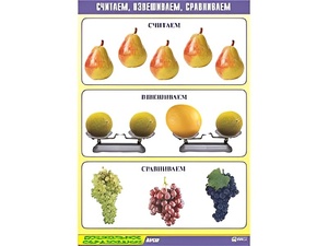 Таблица демонстрационная "Считаем, взвешиваем, сравниваем" (винил 70x100) - fgospostavki.ru - Владимир