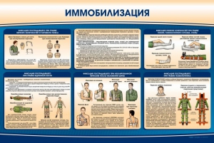 Стенд "Иммобилизация" - fgospostavki.ru - Владимир
