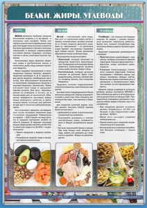 Стенд "Белки. Жиры. Углеводы" - fgospostavki.ru - Владимир