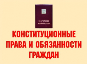 Комплект плакатов "Конституционные права и обязанности граждан" - fgospostavki.ru - Владимир
