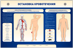 Электрифицированный стенд-тренажер "Остановка кровотечения" - fgospostavki.ru - Владимир