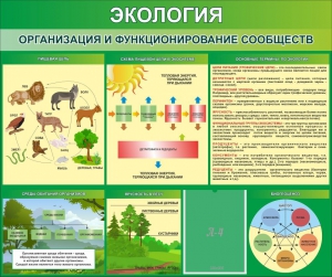 Стенд "Экология. Организация и функционирование сообществ" - fgospostavki.ru - Владимир