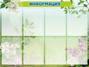 Стенд "Информация" Вариант 13 - fgospostavki.ru - Владимир