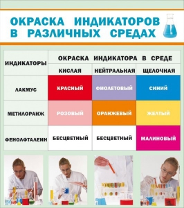 Стенд "Окраска индикаторов в различных средах" - fgospostavki.ru - Владимир