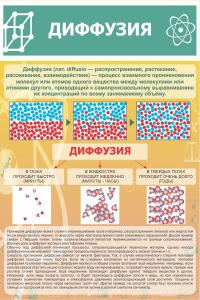 Стенд "Диффузия" - fgospostavki.ru - Владимир