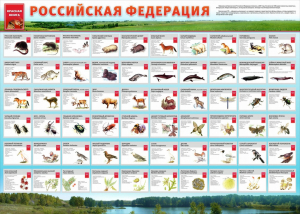 Стенд "Красная книга РФ" - fgospostavki.ru - Владимир